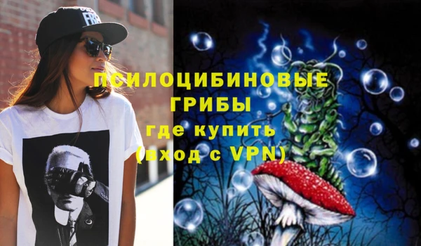 гашик Алзамай