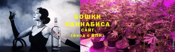 PSILOCYBIN Алексеевка