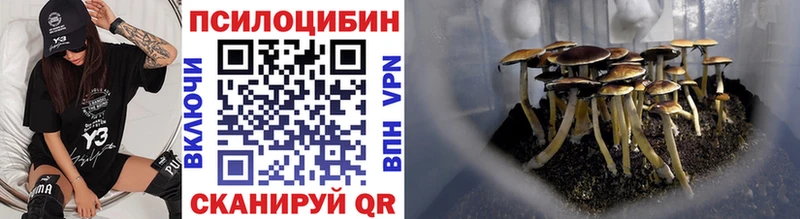 Галлюциногенные грибы прущие грибы  хочу   Юрьевец 
