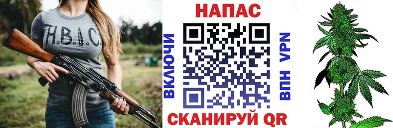 Шишки марихуана сатива где купить наркоту Юрьевец